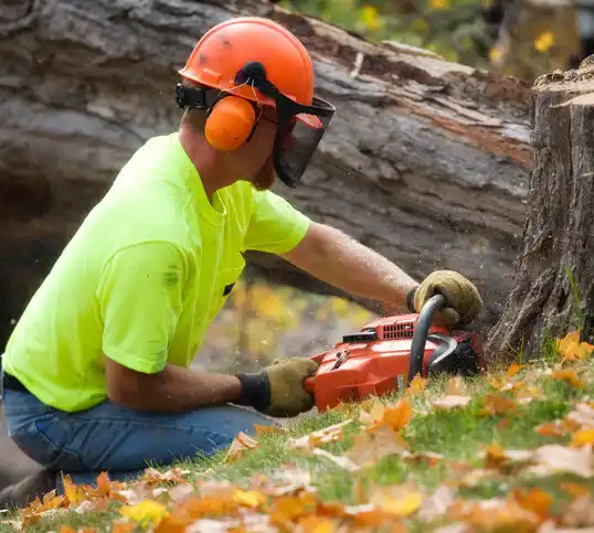 tree services St. Francisville